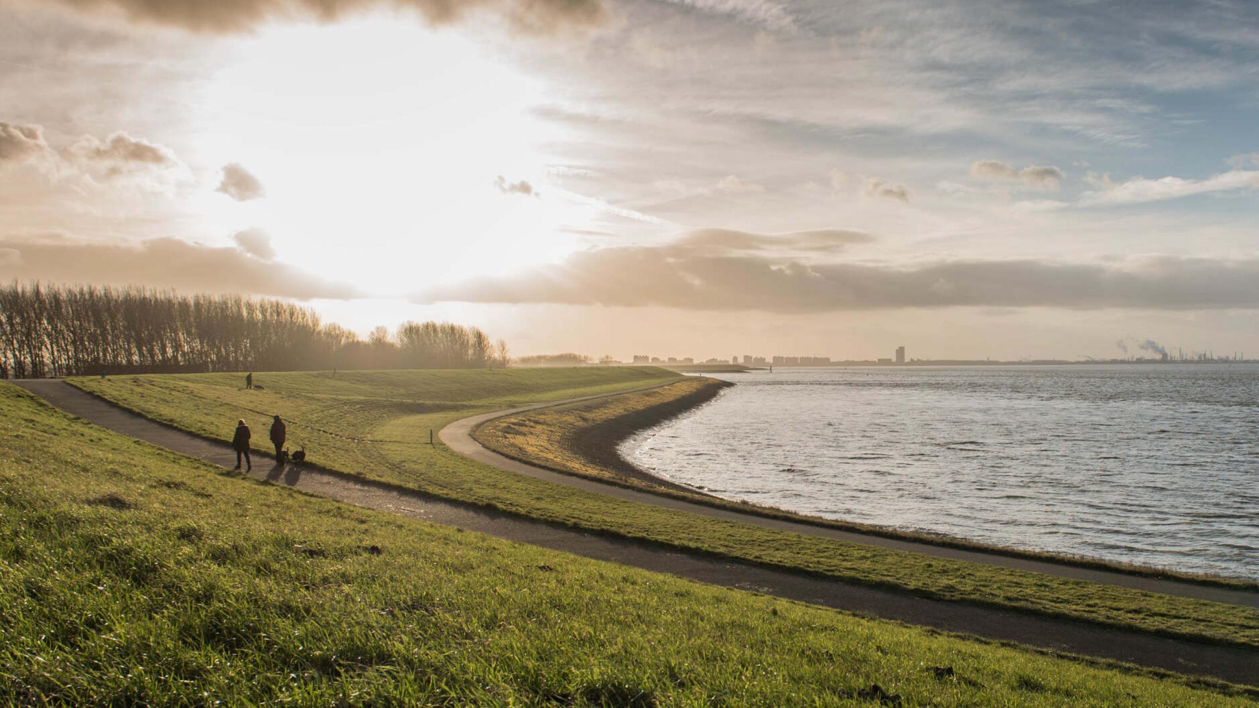 Zeeuws-Vlaamse kust