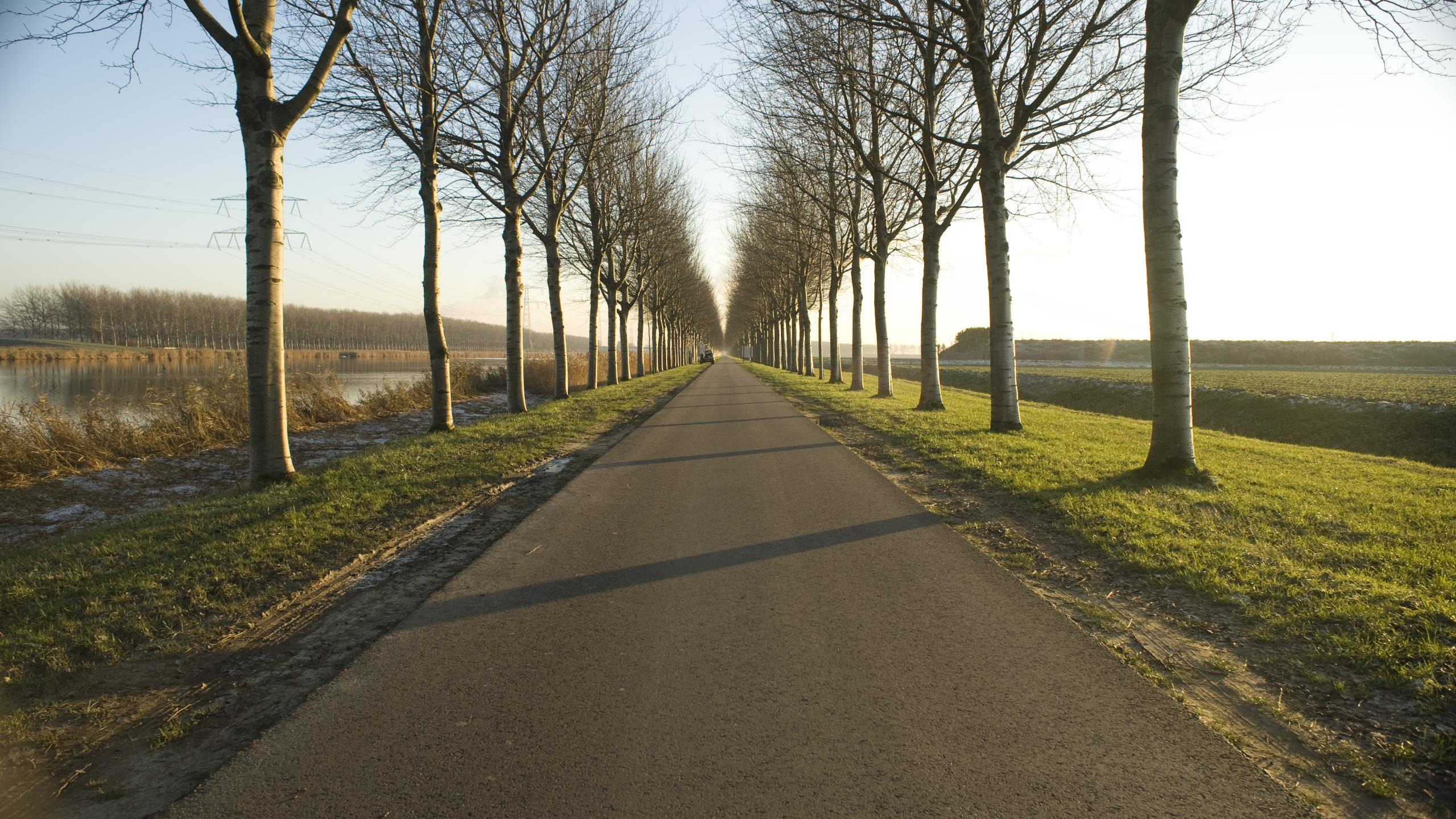 Polder