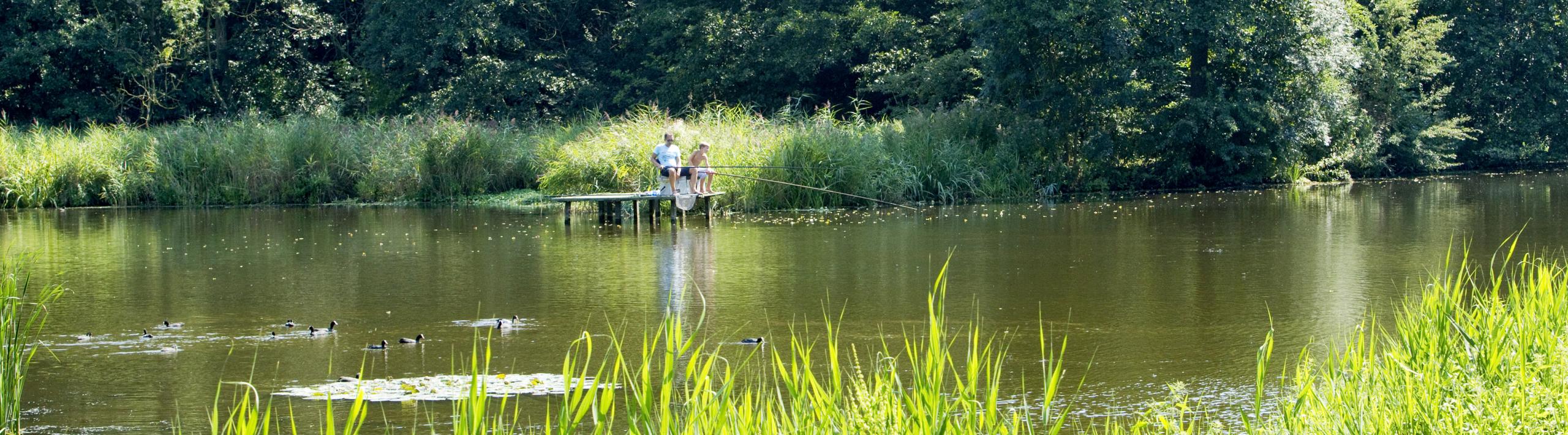 Mooi landschap in Zeeuws-Vlaanderen